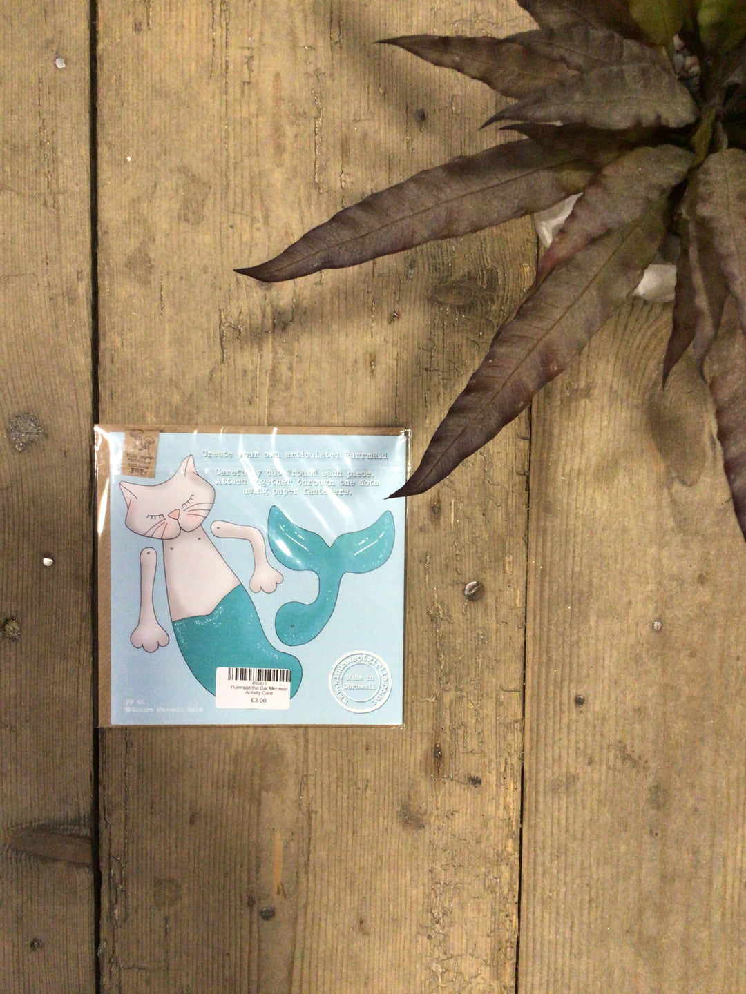 Cornish Printed Card - Characters