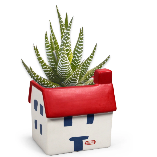 Coastal House Plant Pot