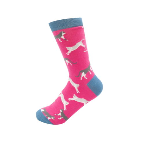 Wandering Cats Socks