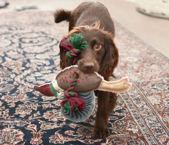 Dog Toy