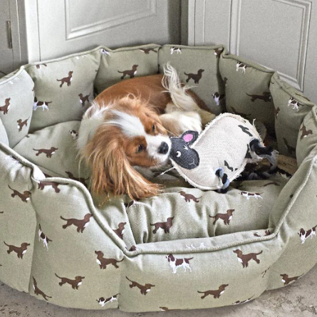 Dog Toy