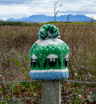 Kids Animal Bobble Hat