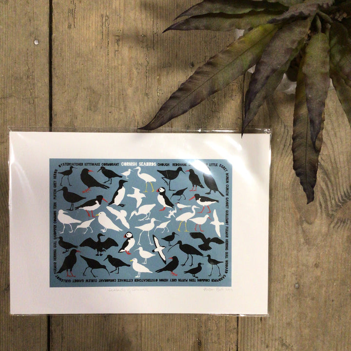 Print - Seabirds
