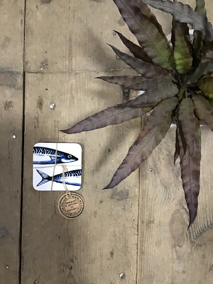 Mackerel Coaster
