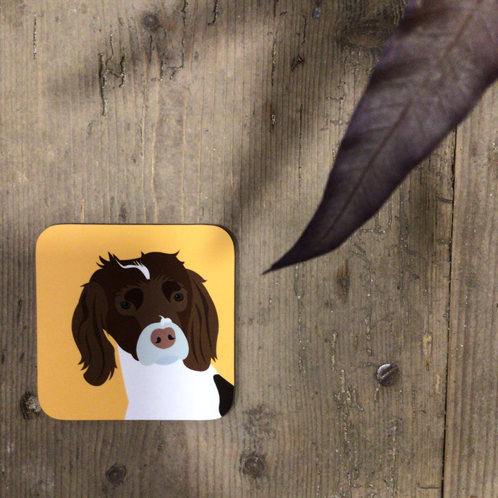 Dog Coaster