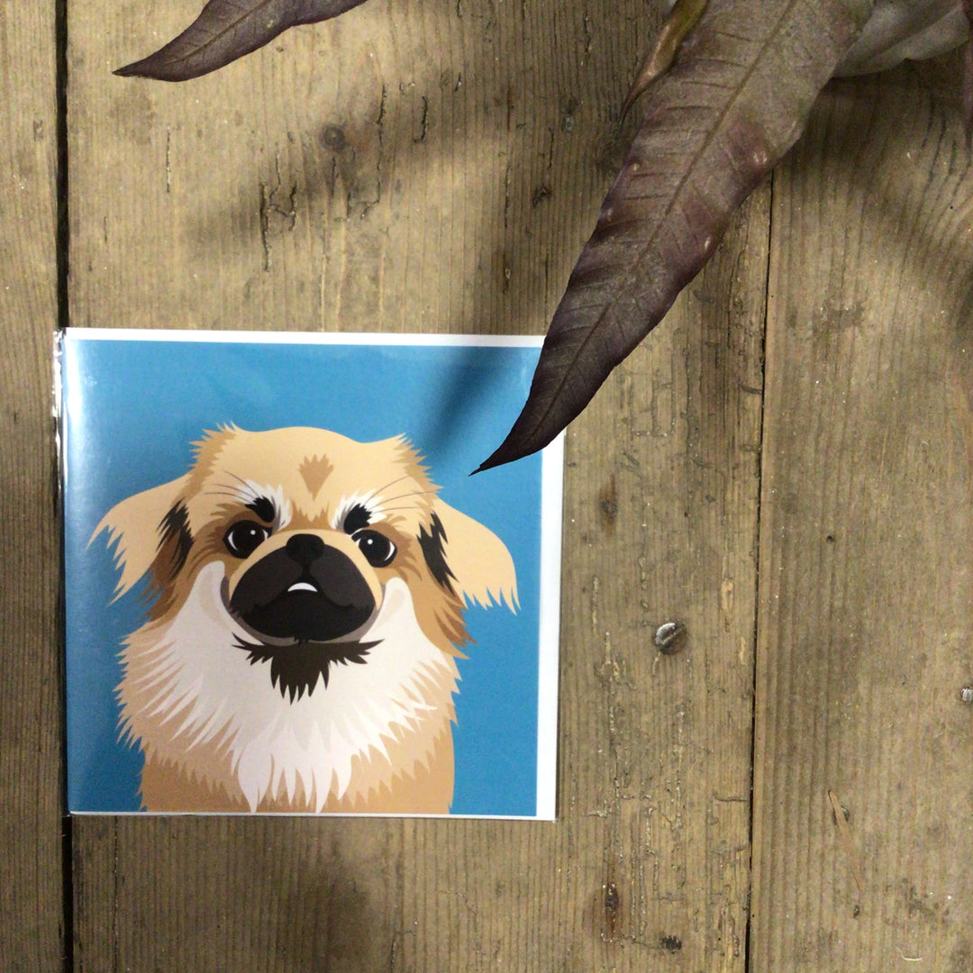 Dog Card