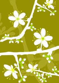 Blackthorn Card