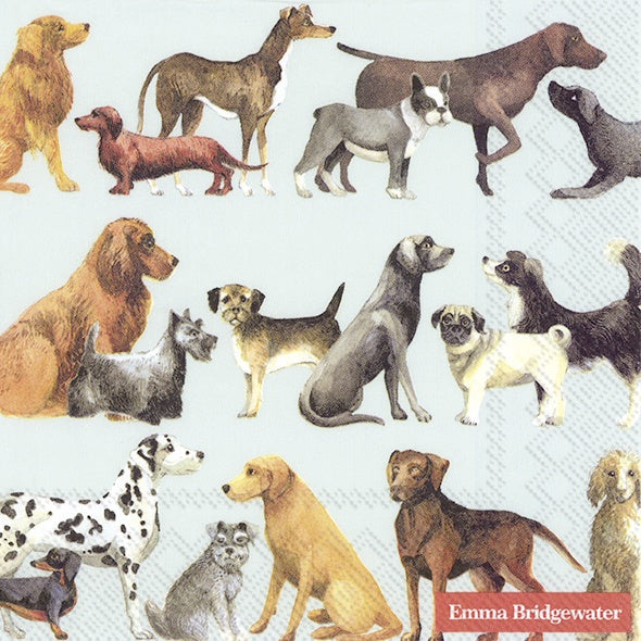 Emma Bridgewater Lunch Napkins