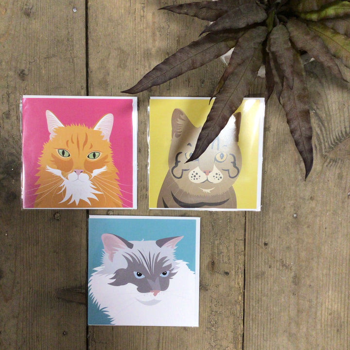 Cat Card