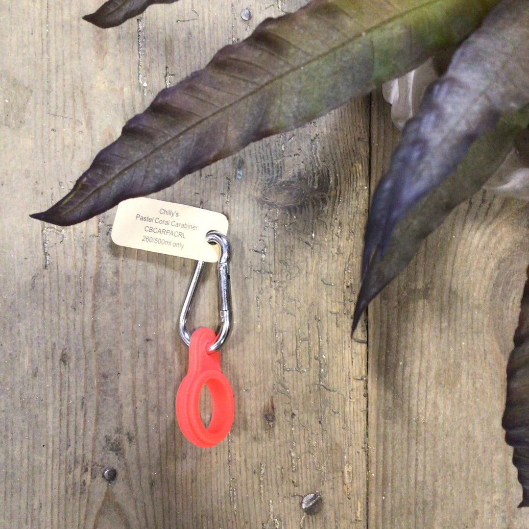Chilly's Carabiner - Pastel -260/500ml