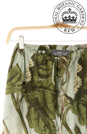 Passionflower Palazzo Pants