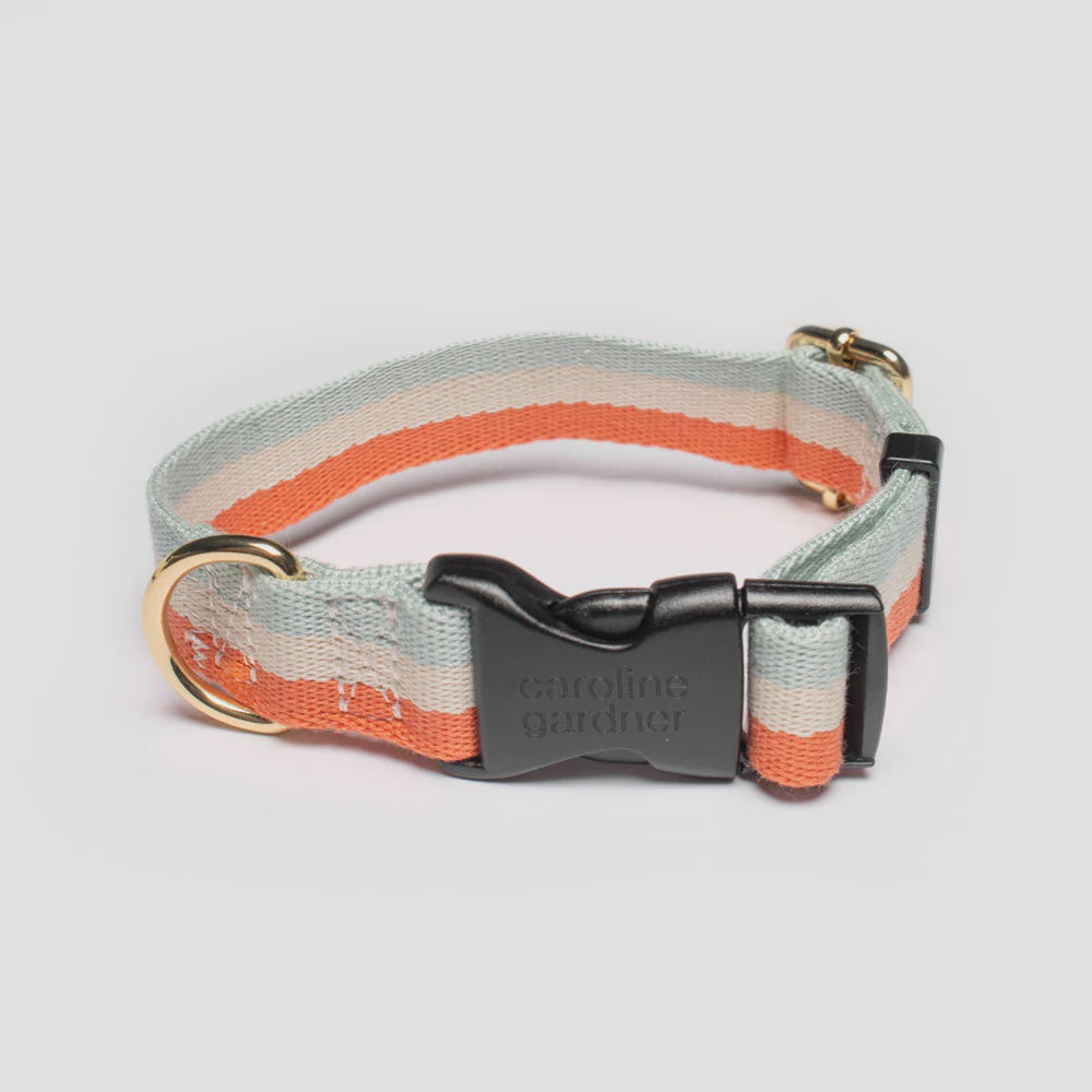 Orange Stripe Dog Collar Size Small Medium