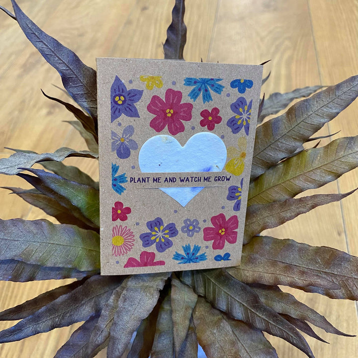 Little Seeds Card