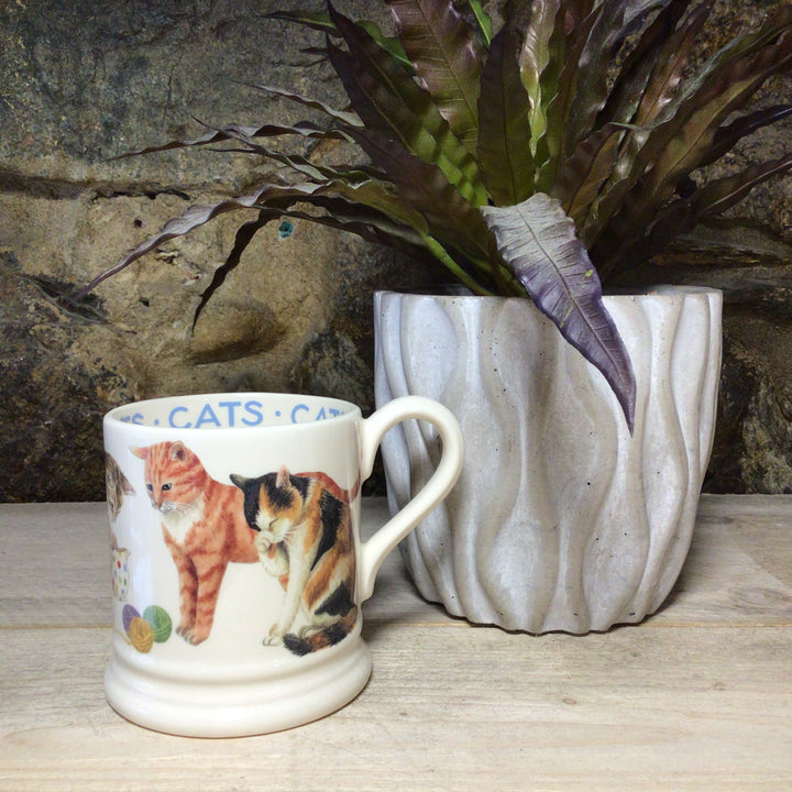 Cats All Over 1/2 Pint Mug