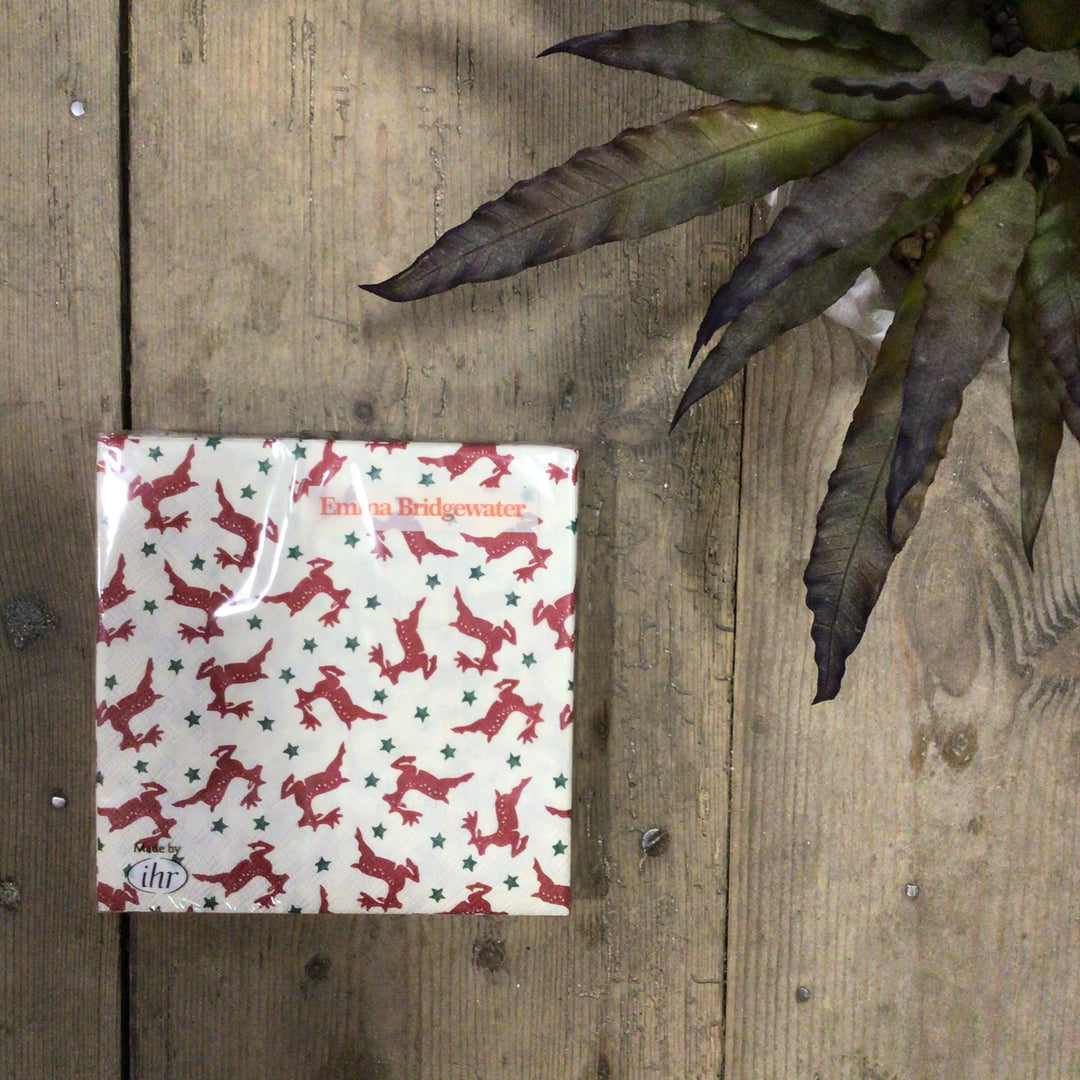 Christmas Emma Bridgewater Lunch Napkins
