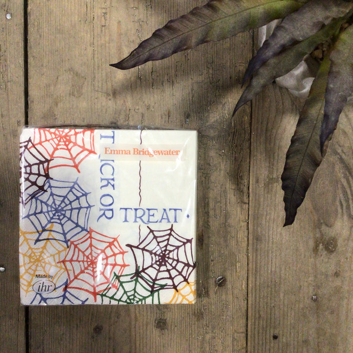 Emma Bridgewater Cobwebs Trick or Treat Napkins