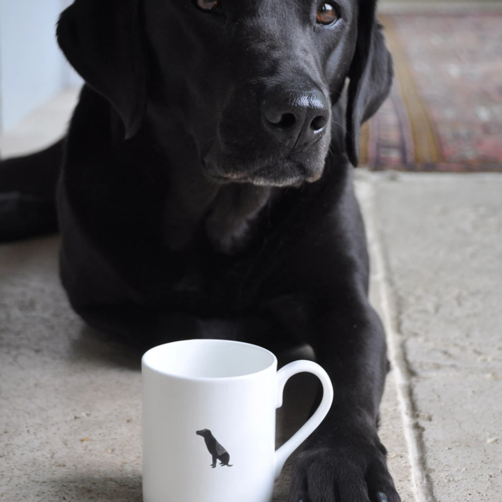 Black Labrador Solo Mug