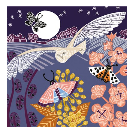 Owl at Night Card