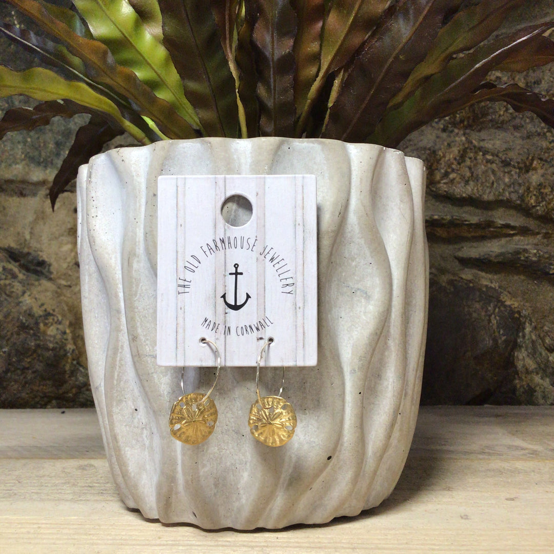 Medium Brass Earrings