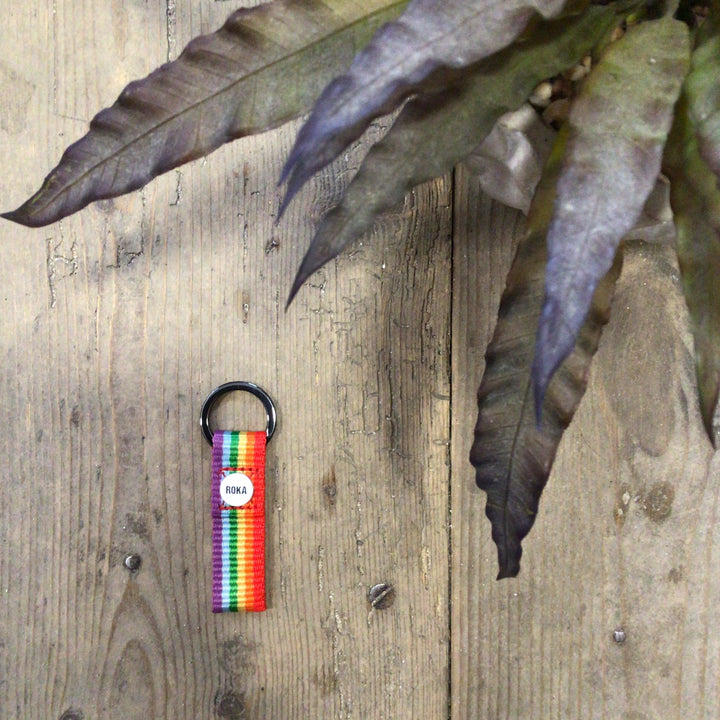 Portland Rainbow Keyring