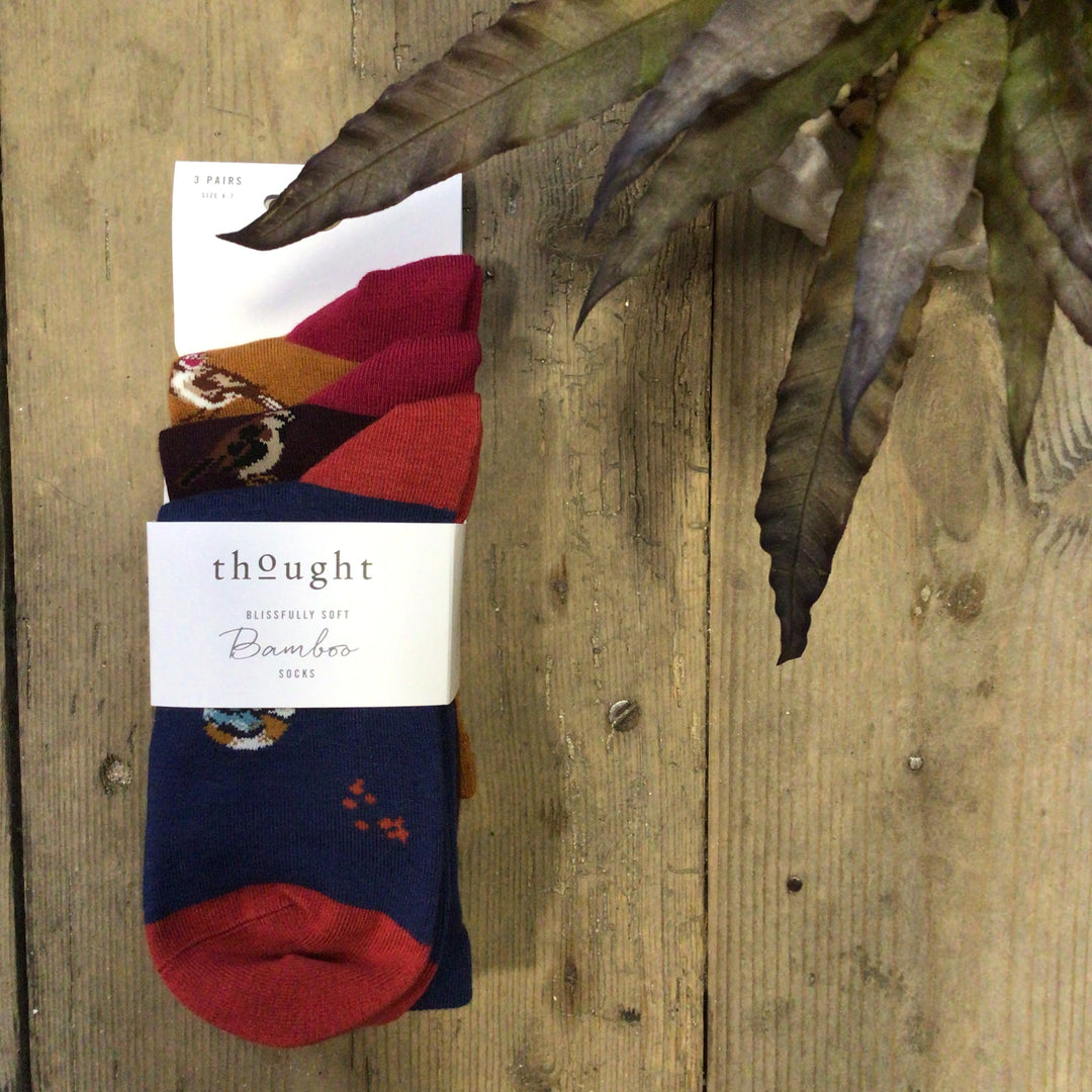 Felice British Birds Bamboo Socks - 3 pair pack